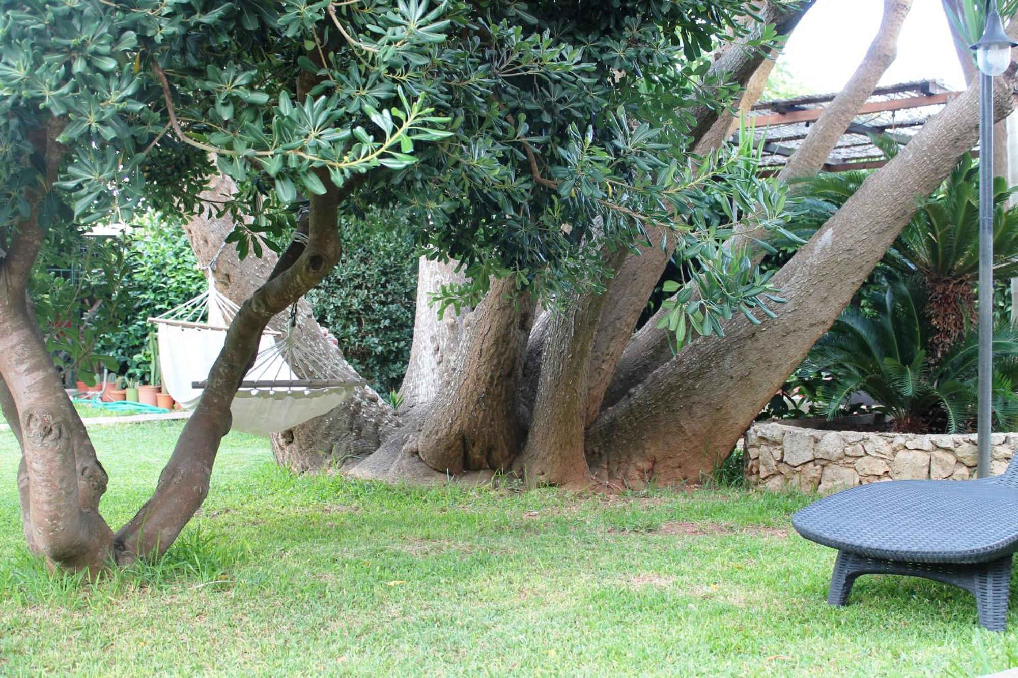 Villa Terra Di Mare à Vignacastrisi Extérieur photo